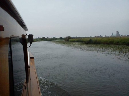 Ribe 